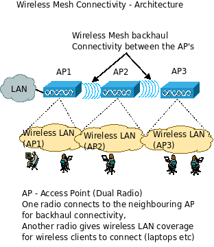 Architecture of wireless mesh network connectivity
