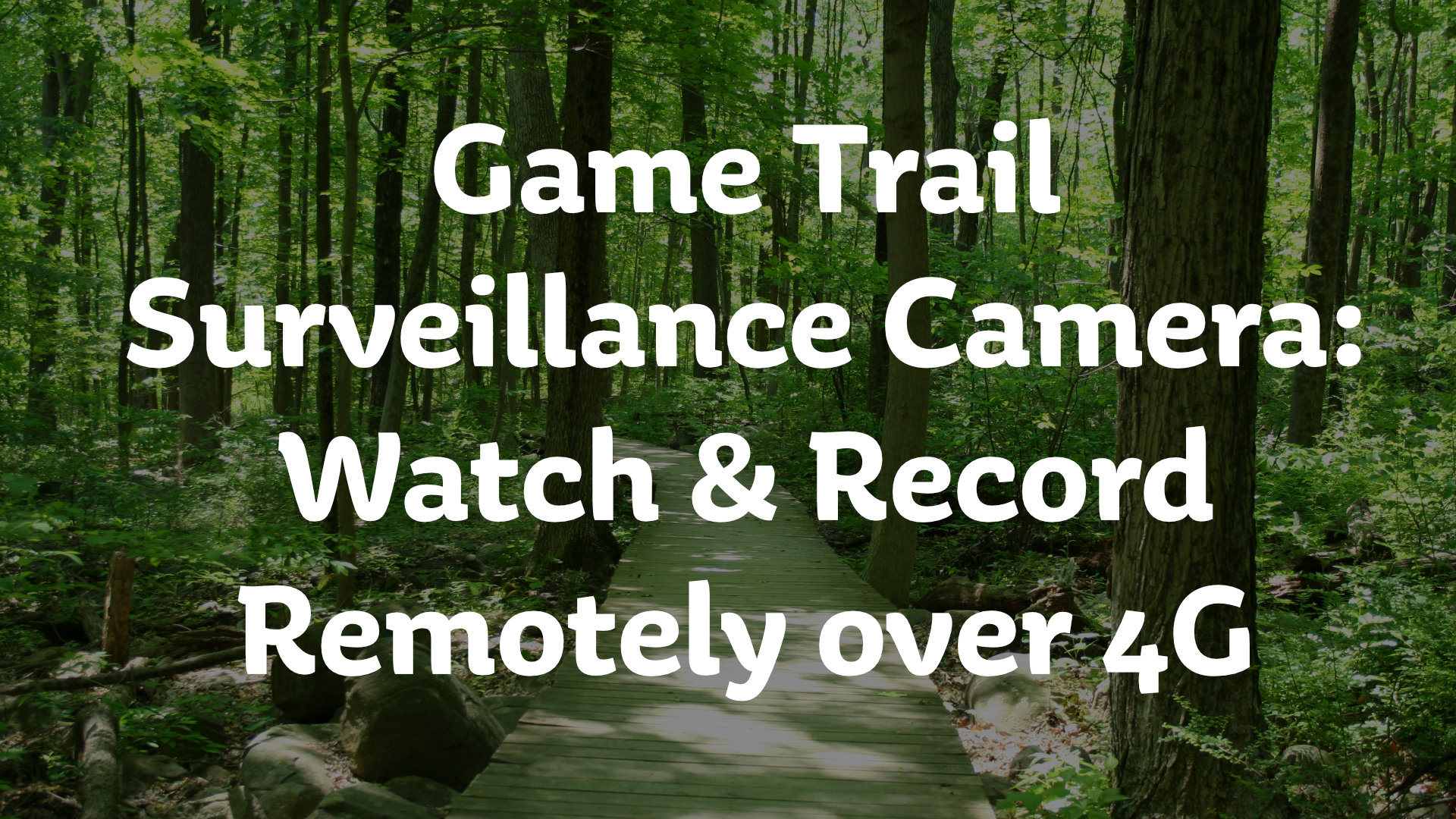 Game Trail Surveillance Camera: Watch & Record Remotely over 4G